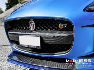 Jaguar F-TYPE Exterior Trim - Carbon Fiber - Radiator Grille Center Cover